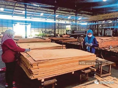 馬來西亞木制品出口迎來爆發(fā)期 預計2025年達287億人民幣，產(chǎn)業(yè)升級與全球需求雙輪驅(qū)動